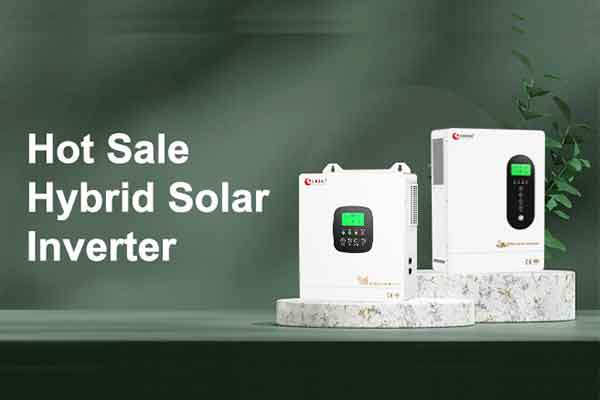 The Hot Sale Hybrid Solar Inverter